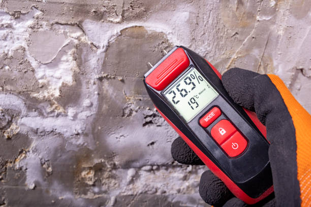 Best Mold Testing  in Galva, IL